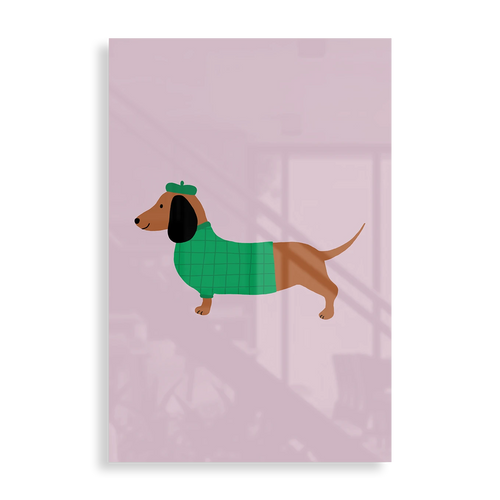 Dressed up Dachshund