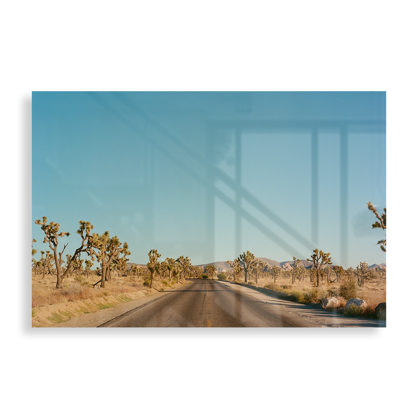 Joshua Tree Road, USA