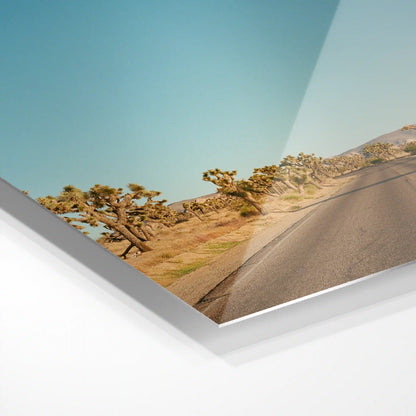 Joshua Tree Road, USA