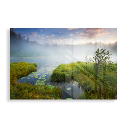 Misty lake