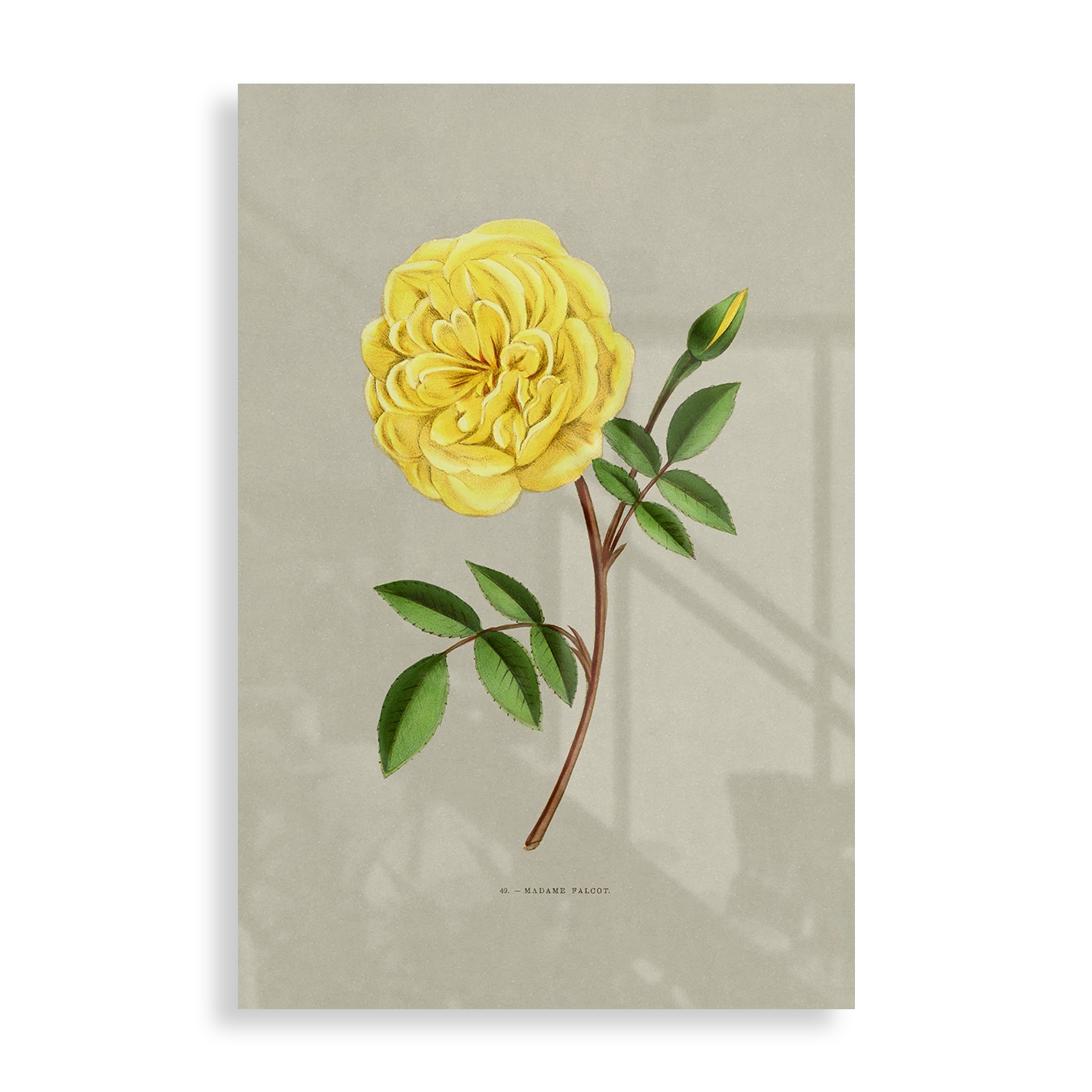Simple flower