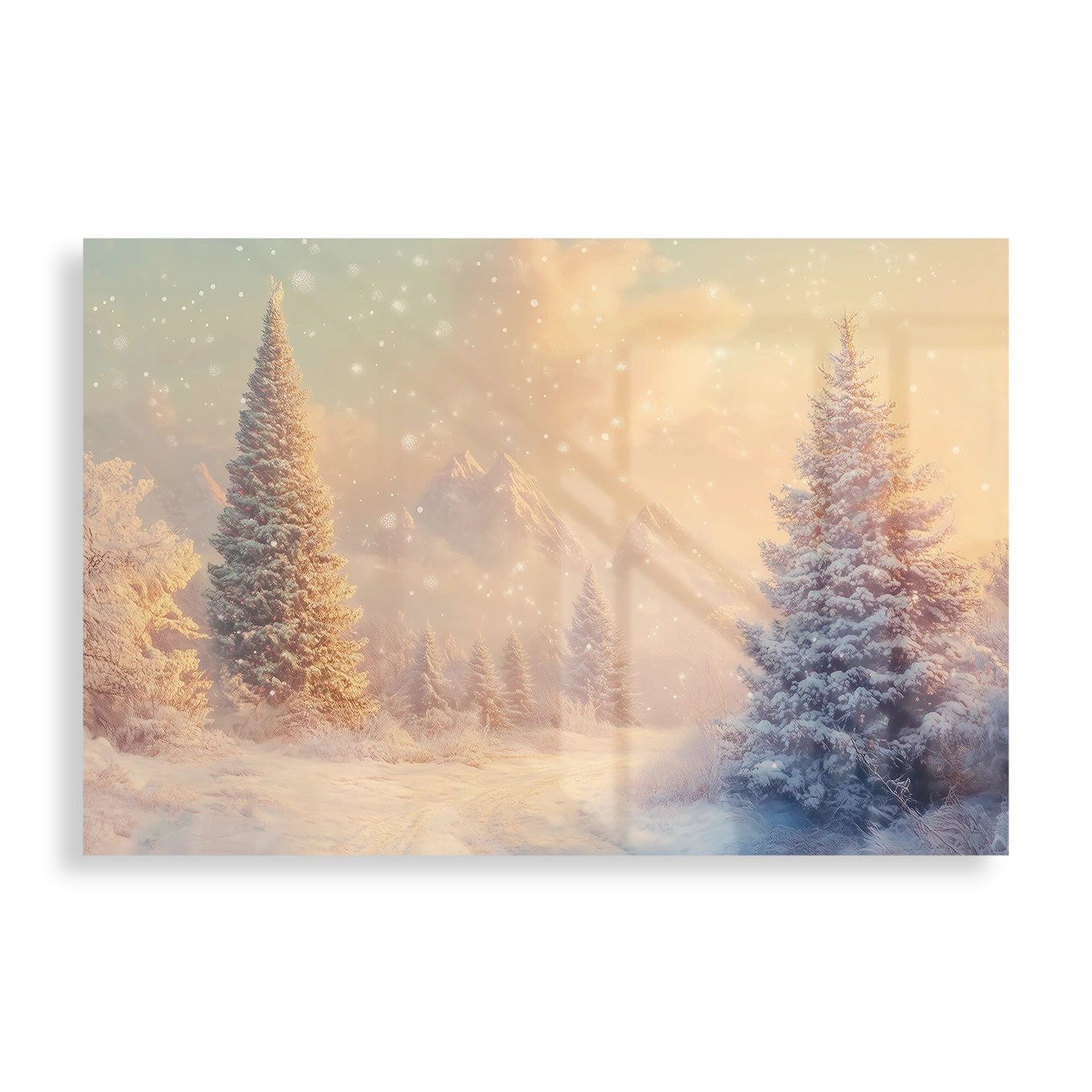 Winter wonderland