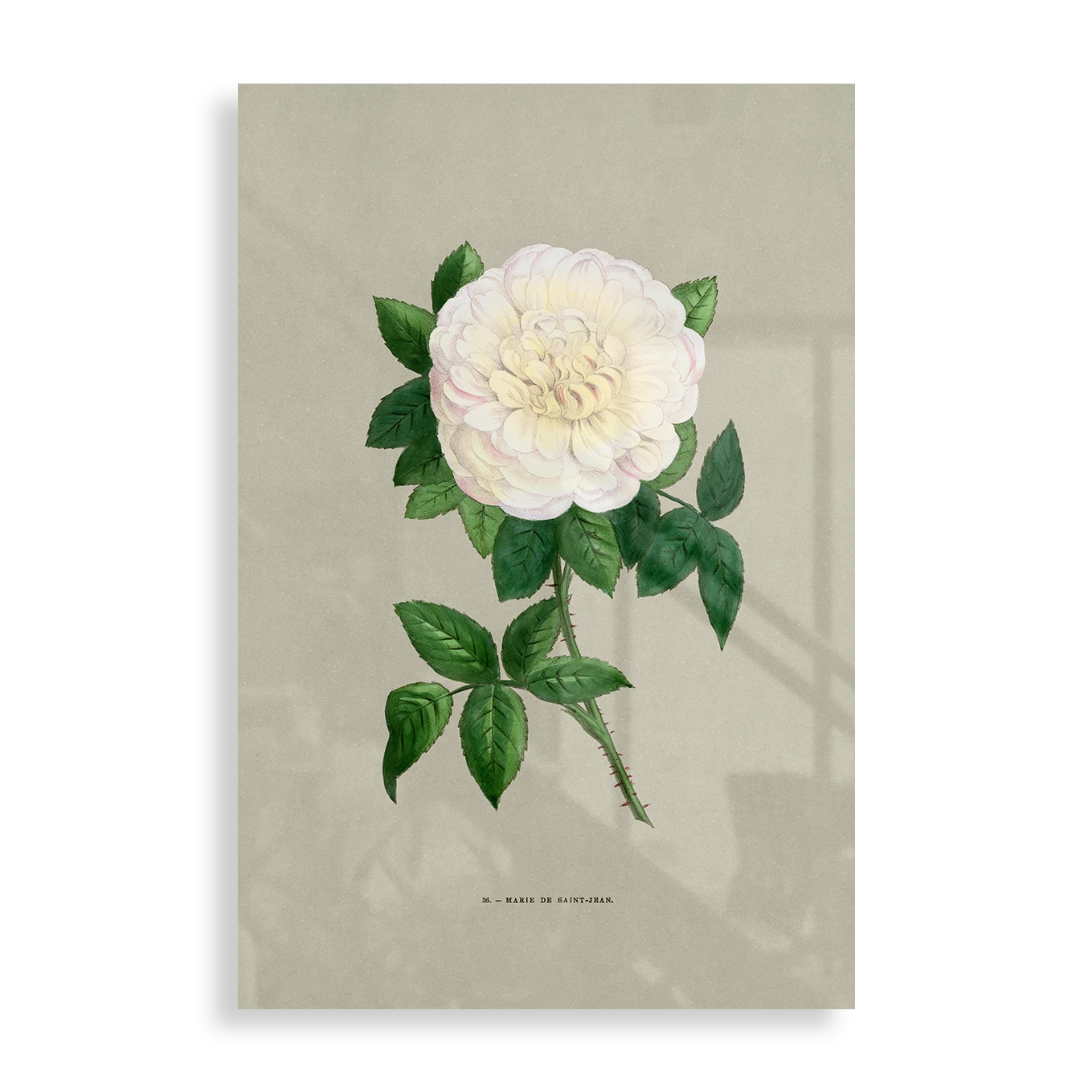 Simple flower