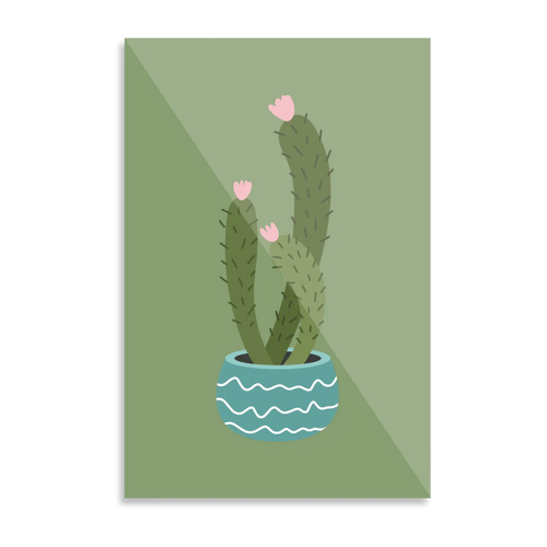 Kaktusplante i potte 4