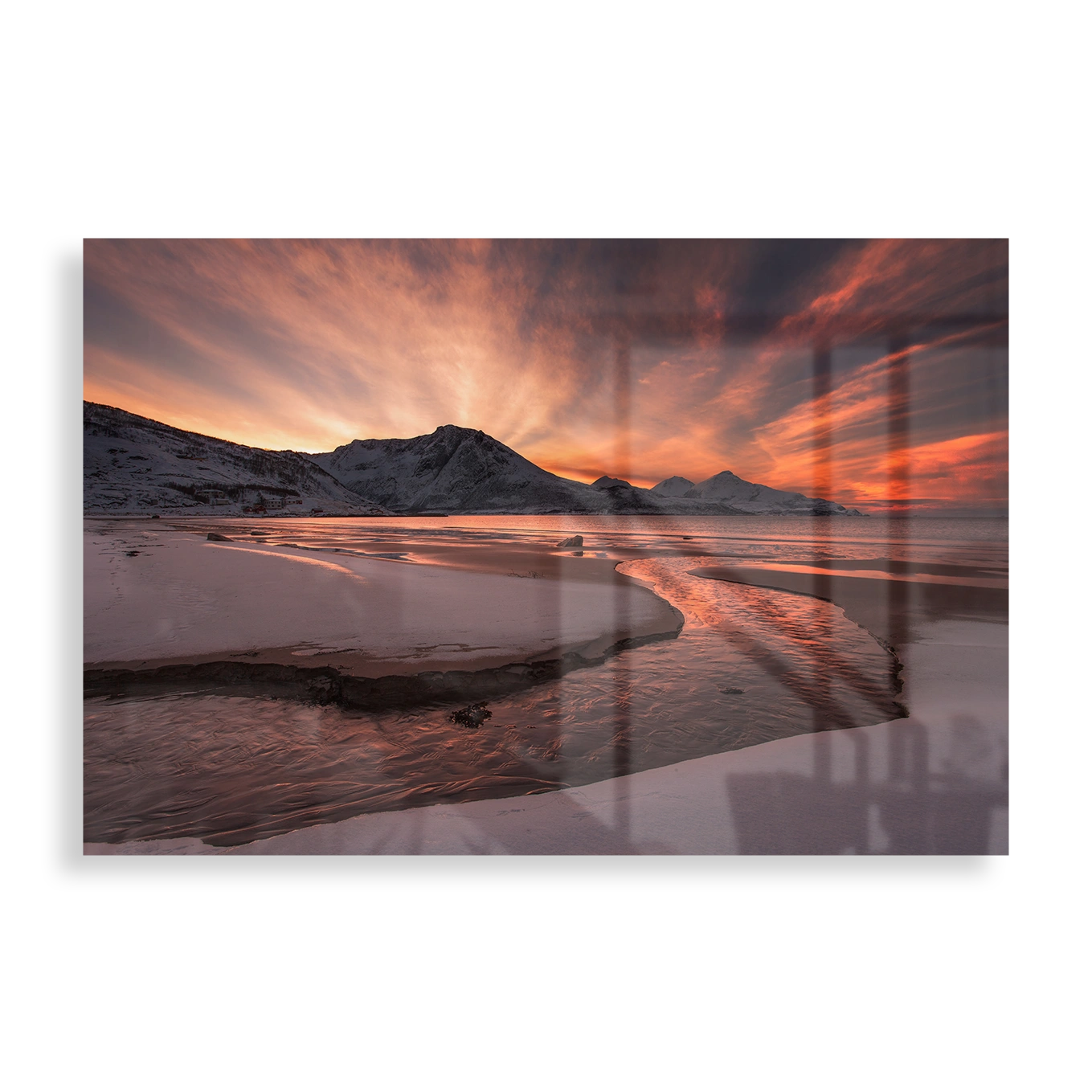 Golden Sunset