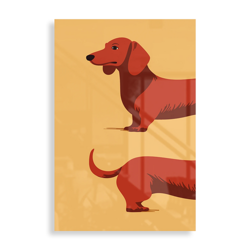 Dachshund