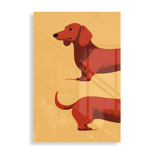 Dachshund
